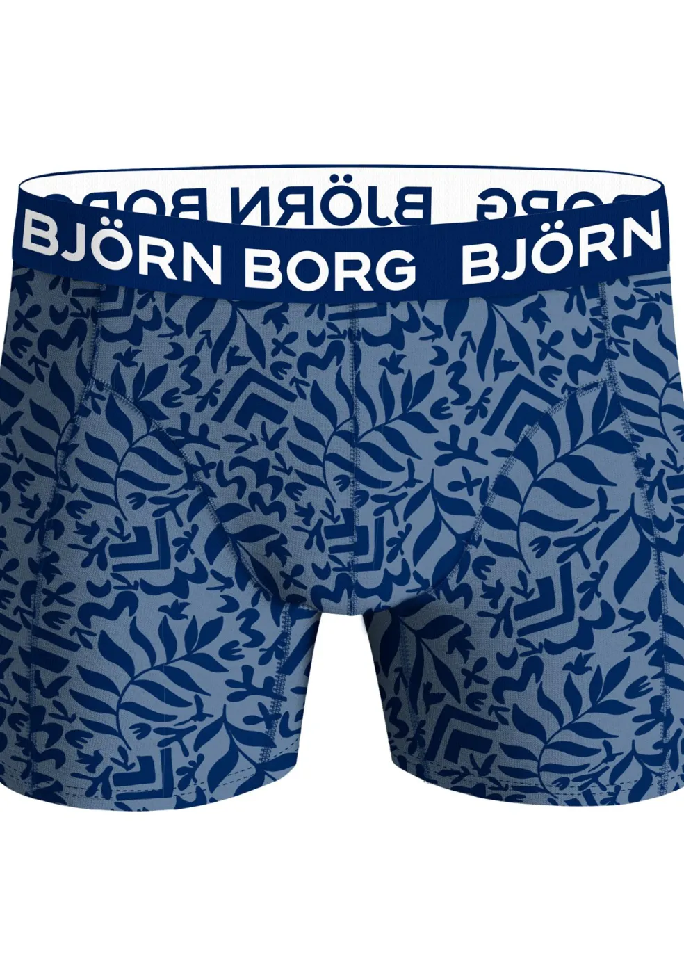 Bjorn Borg Bamboo Cotton Blend boxers, heren boxers normale lengte (2-pack), blauw, print