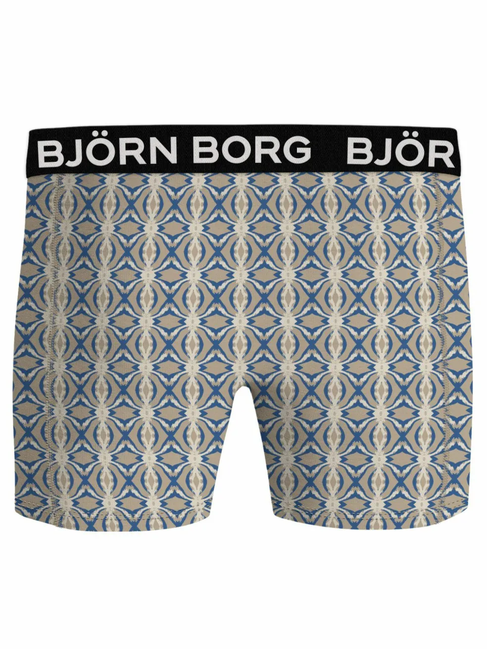 Bjorn Borg Bamboo Cotton Blend boxers, heren boxers normale lengte (2-pack), multicolor