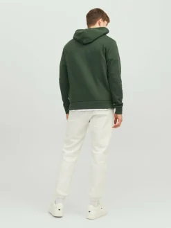 JACK & JONES Corp logo sweat hood regular fit, heren hoodie katoenmengsel met capuchon, groen grote print