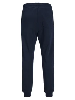 JACK & JONES Gordon Bradley Sweat Pant regular fit, heren joggingbroek, blauw