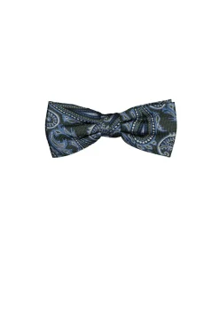 Michaelis strik, groen met blauw paisley dessin strik zijde