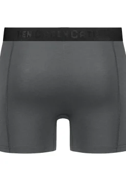 TEN CATE Basics men bamboo viscose shorts (2-pack), heren boxers normale lengte, grijs