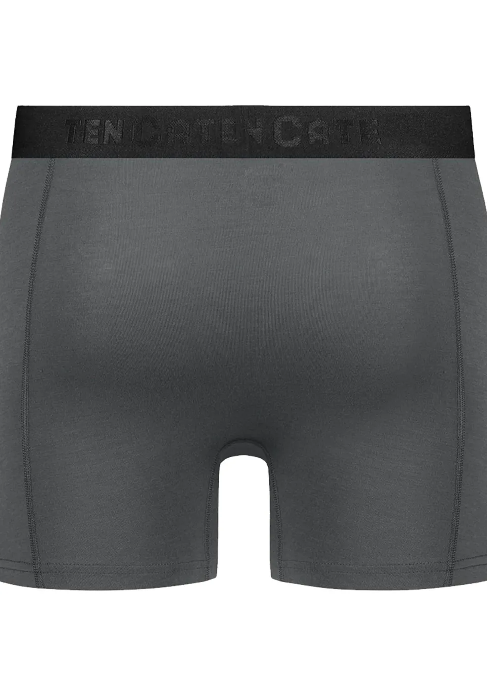 TEN CATE Basics men bamboo viscose shorts (2-pack), heren boxers normale lengte, grijs