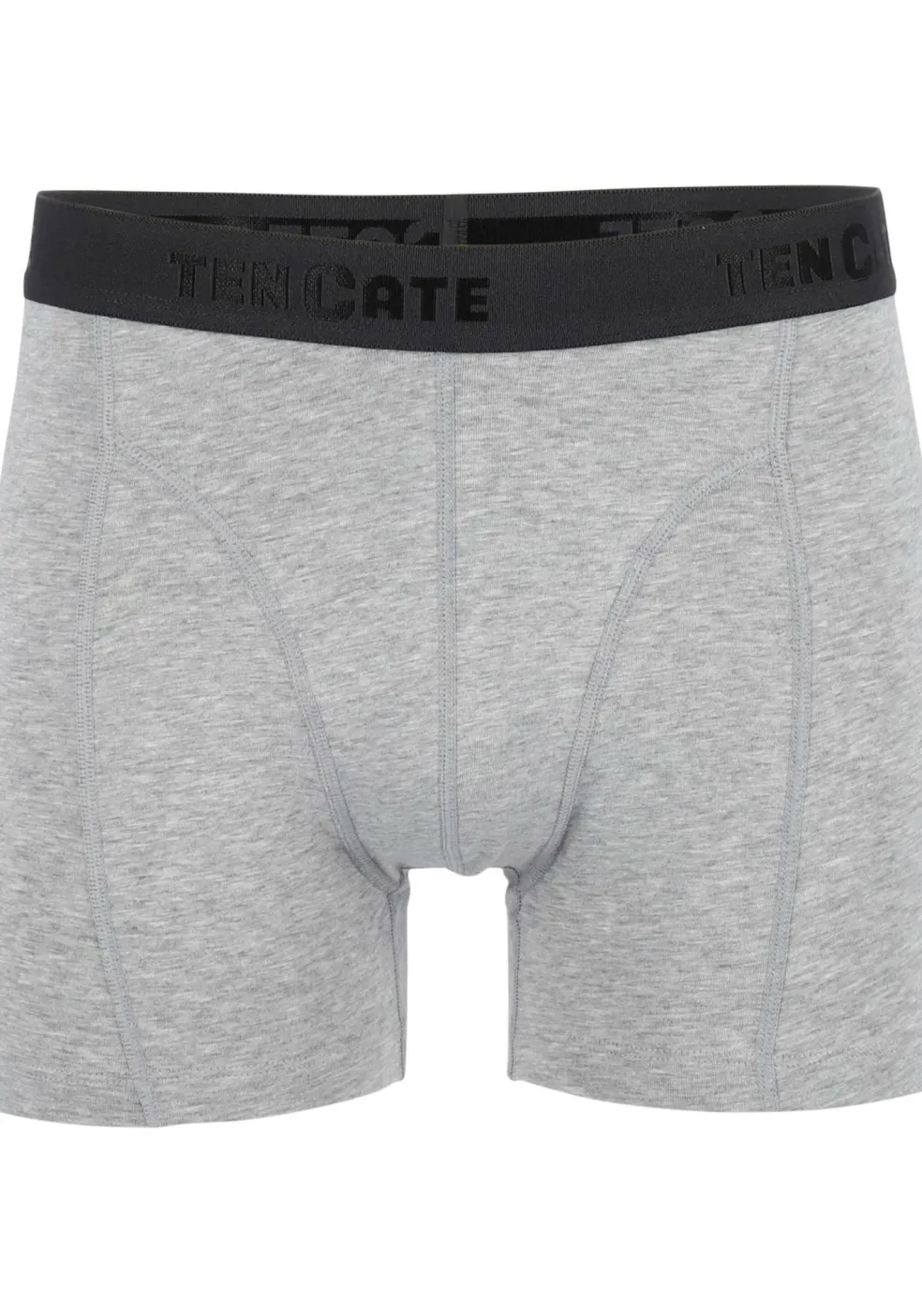 TEN CATE Basics men shorts (2-pack), heren boxers normale lengte, grijs melange
