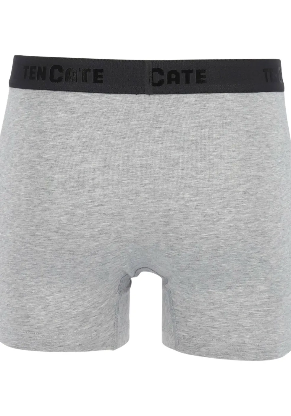 TEN CATE Basics men shorts (2-pack), heren boxers normale lengte, grijs melange