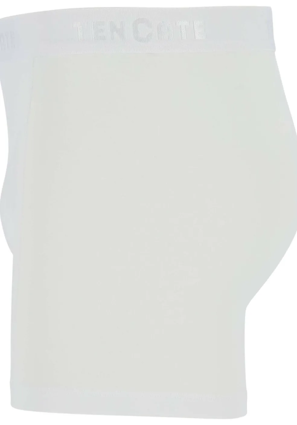 TEN CATE Basics men shorts (2-pack), heren boxers normale lengte, wit