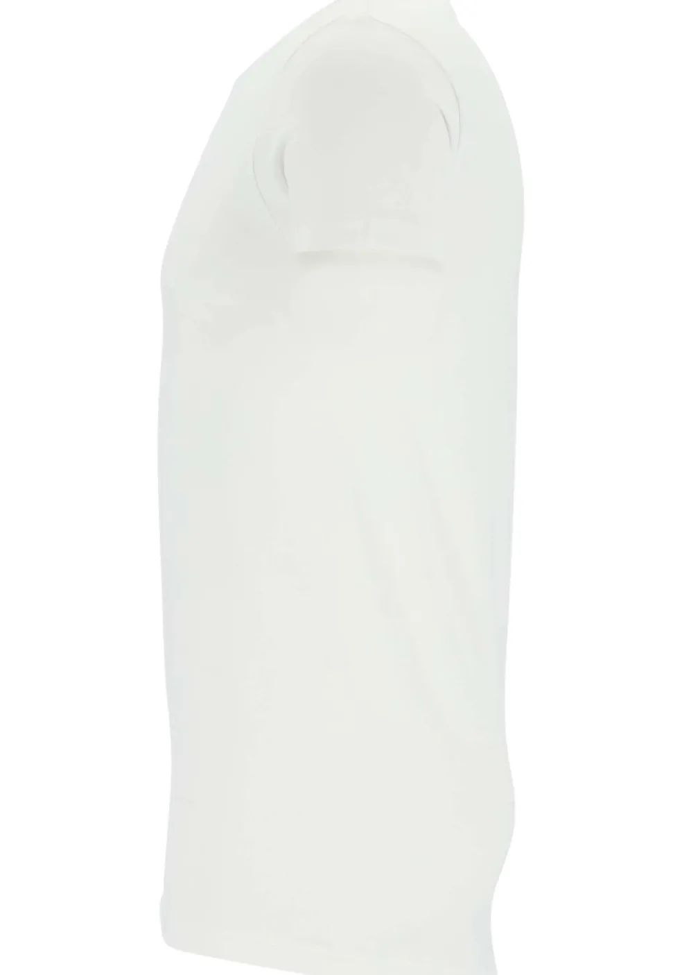 TEN CATE Basics men T-shirt (2-pack), heren T-shirts O-hals, wit