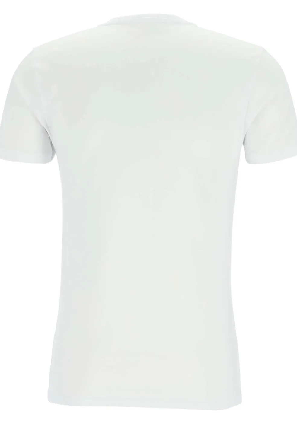 TEN CATE Basics men T-shirt (2-pack), heren T-shirts V-hals, wit