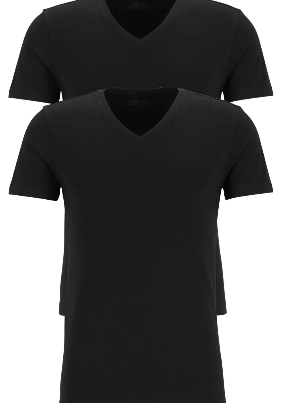 TEN CATE Basics men T-shirt (2-pack), heren T-shirts V-hals, zwart