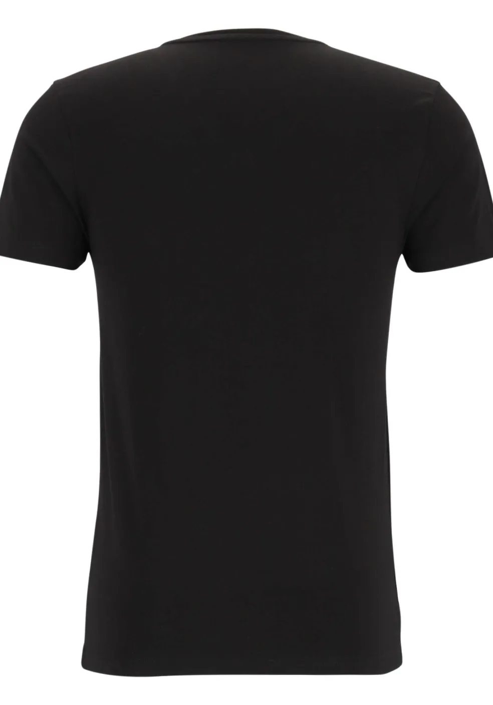 TEN CATE Basics men T-shirt (2-pack), heren T-shirts V-hals, zwart